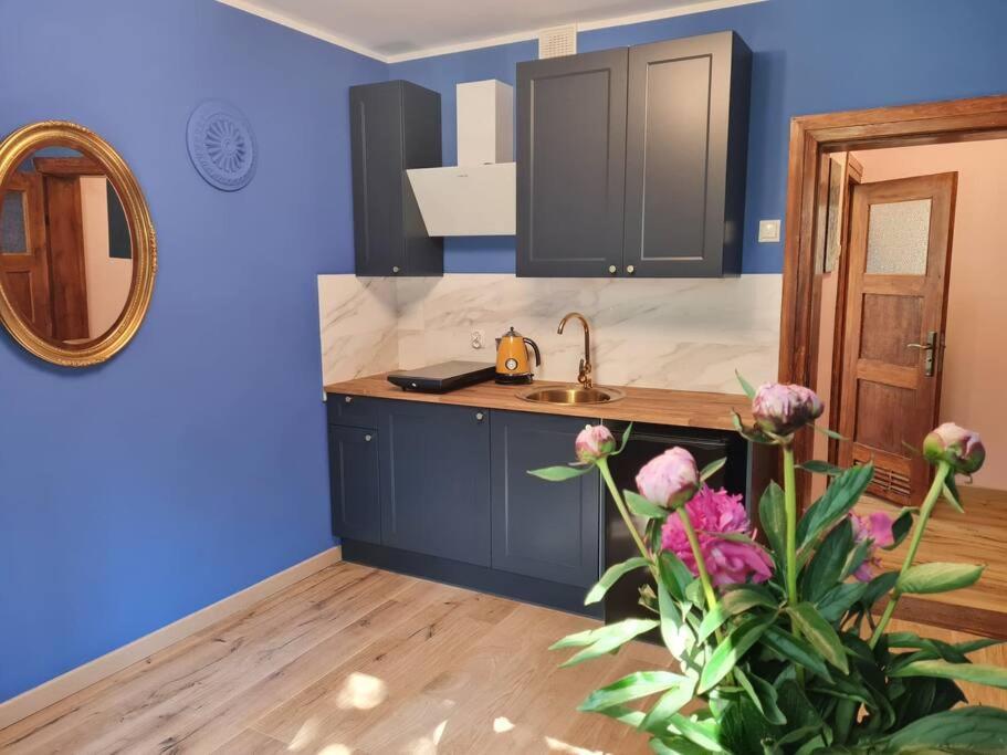 Stary Toruń Apartament Kraszewskiego - Retro, Blisko Starowki, Kolo Parku, Ogrod Dla Gosci, Rowery Free מראה חיצוני תמונה