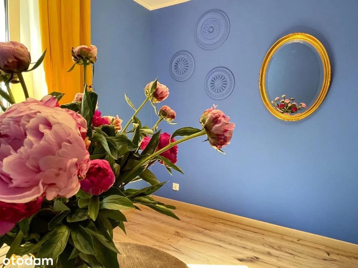 Stary Toruń Apartament Kraszewskiego - Retro, Blisko Starowki, Kolo Parku, Ogrod Dla Gosci, Rowery Free מראה חיצוני תמונה